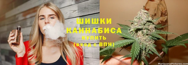 ECSTASY Ельня