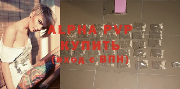 крисы Елабуга
