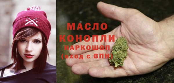 крисы Елабуга