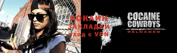 крисы Елабуга