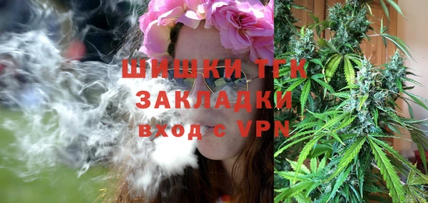 крисы Елабуга