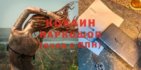 ECSTASY Ельня