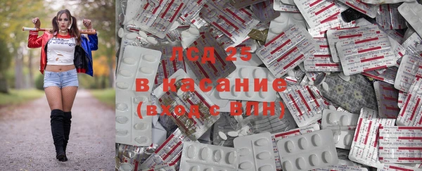 крисы Елабуга