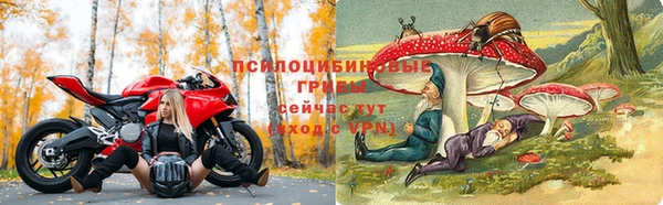 крисы Елабуга