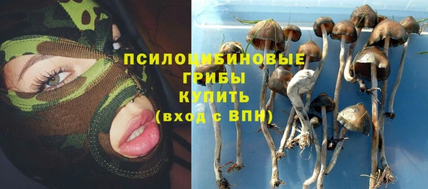 ECSTASY Ельня