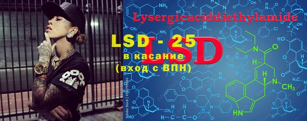 крисы Елабуга