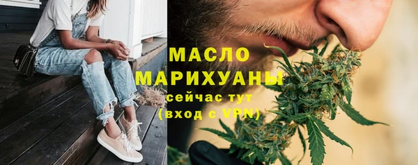 крисы Елабуга