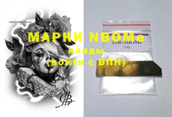крисы Елабуга