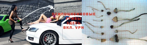 крисы Елабуга